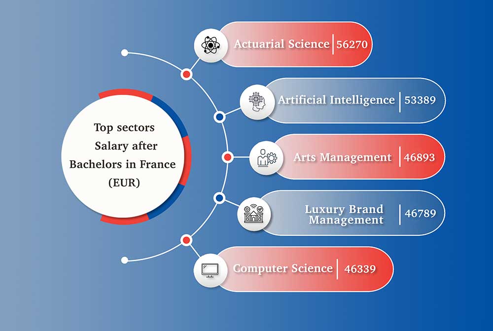 Bachelors in France Infographics