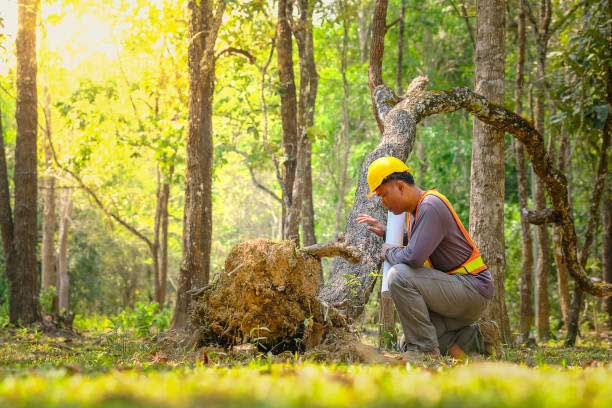 Masters in Environmental Management in France