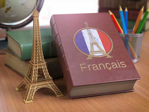 Study in France